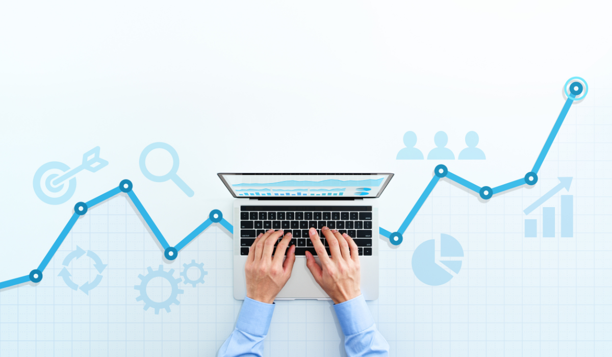 What specific services does SEO offer?